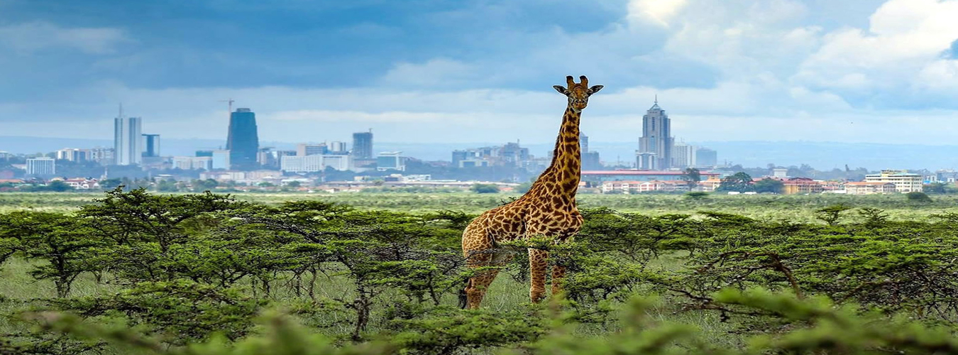 Nairobi
