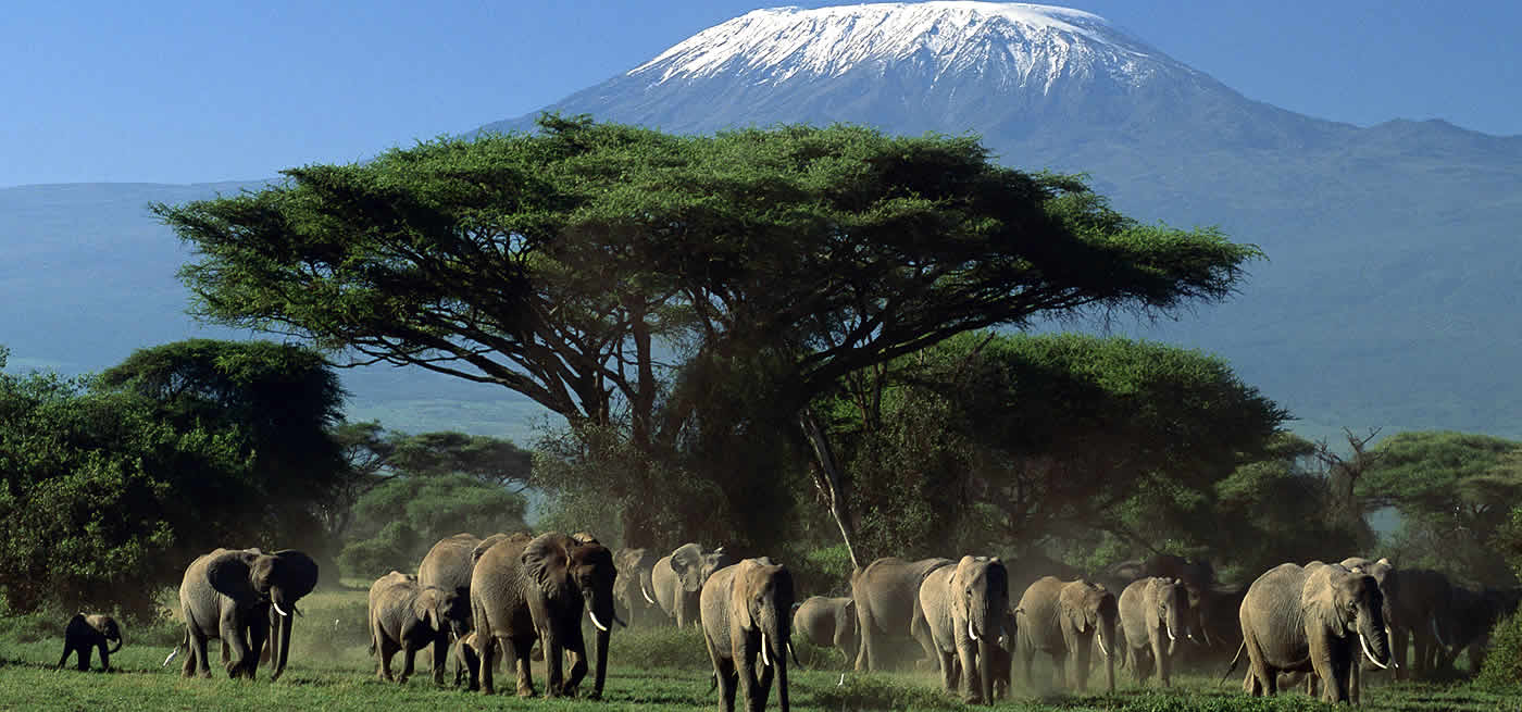 Amboseli