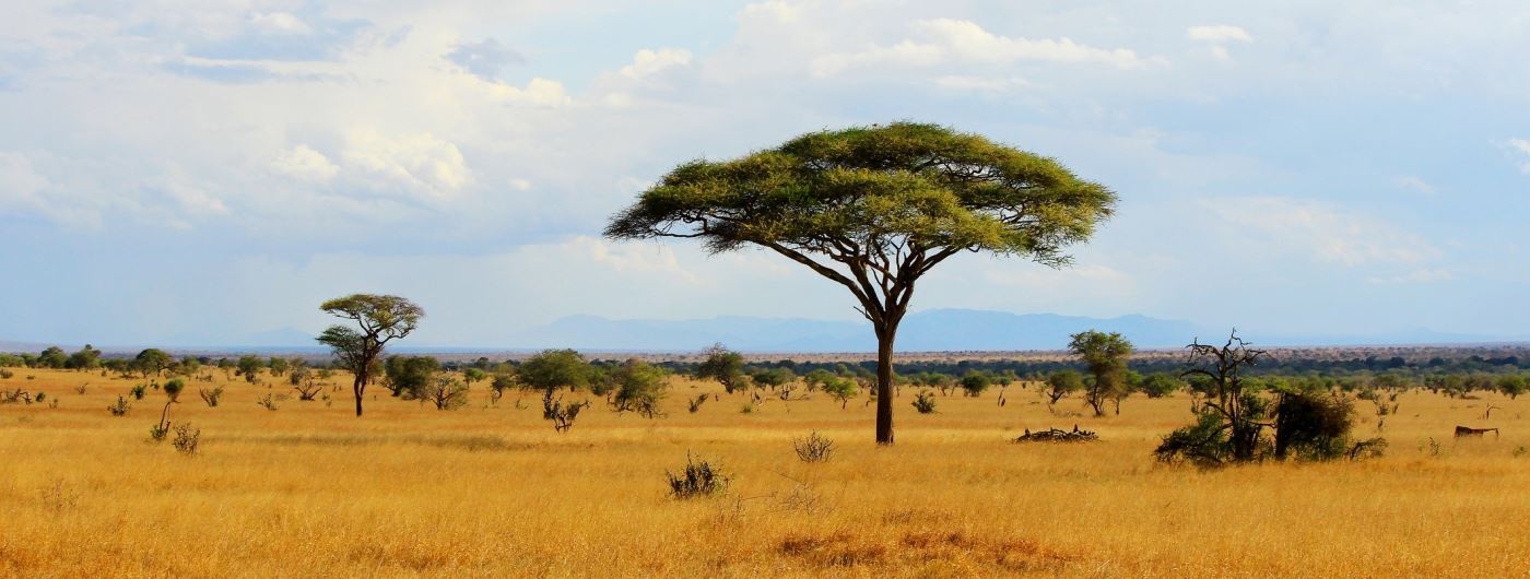 Tsavo